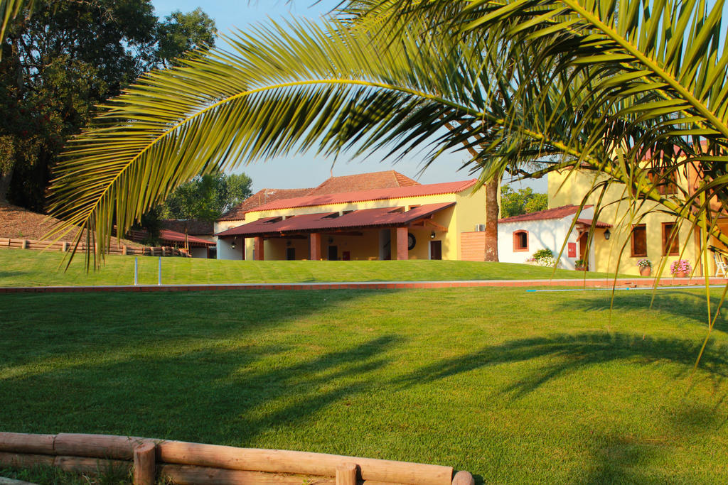 Vila Quinta De Lograssol Mealhada Exteriér fotografie