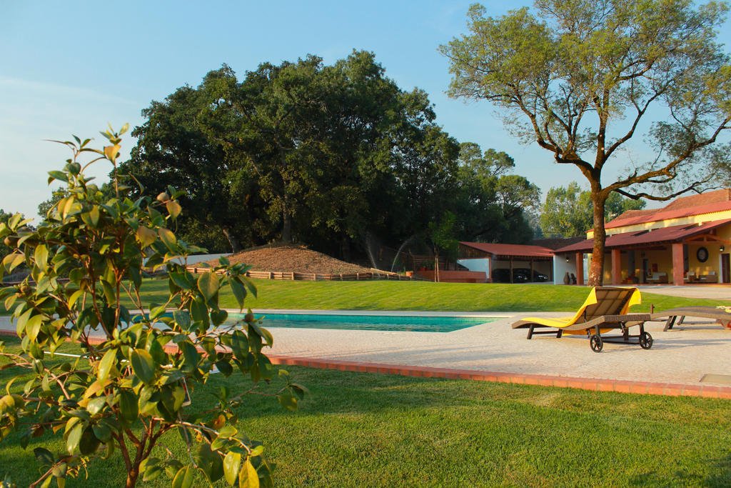 Vila Quinta De Lograssol Mealhada Exteriér fotografie