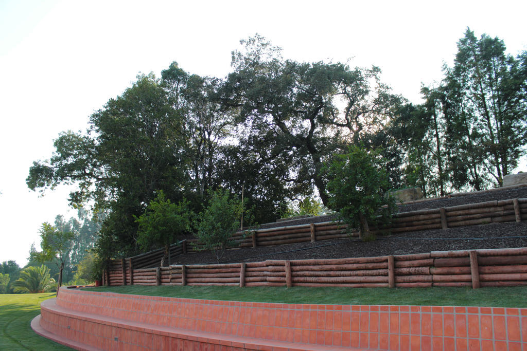 Vila Quinta De Lograssol Mealhada Exteriér fotografie